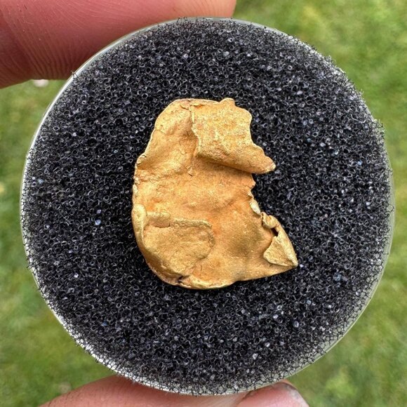 Large Cornflake Gold Nugget - 17mm x 13mm - 1.3 grams Nevada County, California - Picture 1 of 5